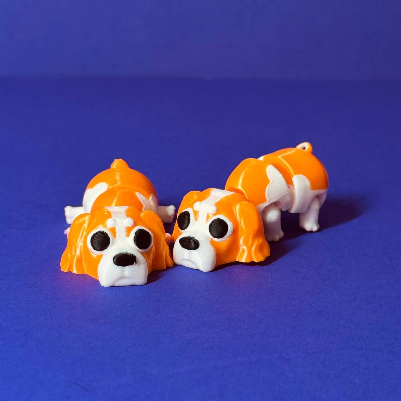 Articulated Cavalier King Charles Spaniel view 4