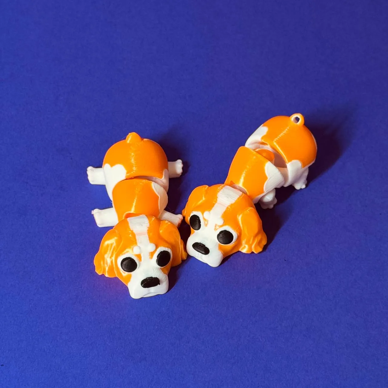 Articulated Cavalier King Charles Spaniel view 3
