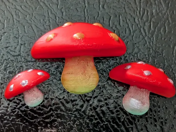 https://makerworld.bblmw.com/makerworld/model/US53b92eb975f9f/design/2025-01-22_266fadf363a7d.jpg