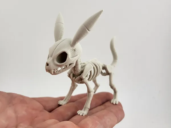https://makerworld.bblmw.com/makerworld/model/US53bb00023d1ff9/design/2025-08-19_3cf64428f0d94.jpg
