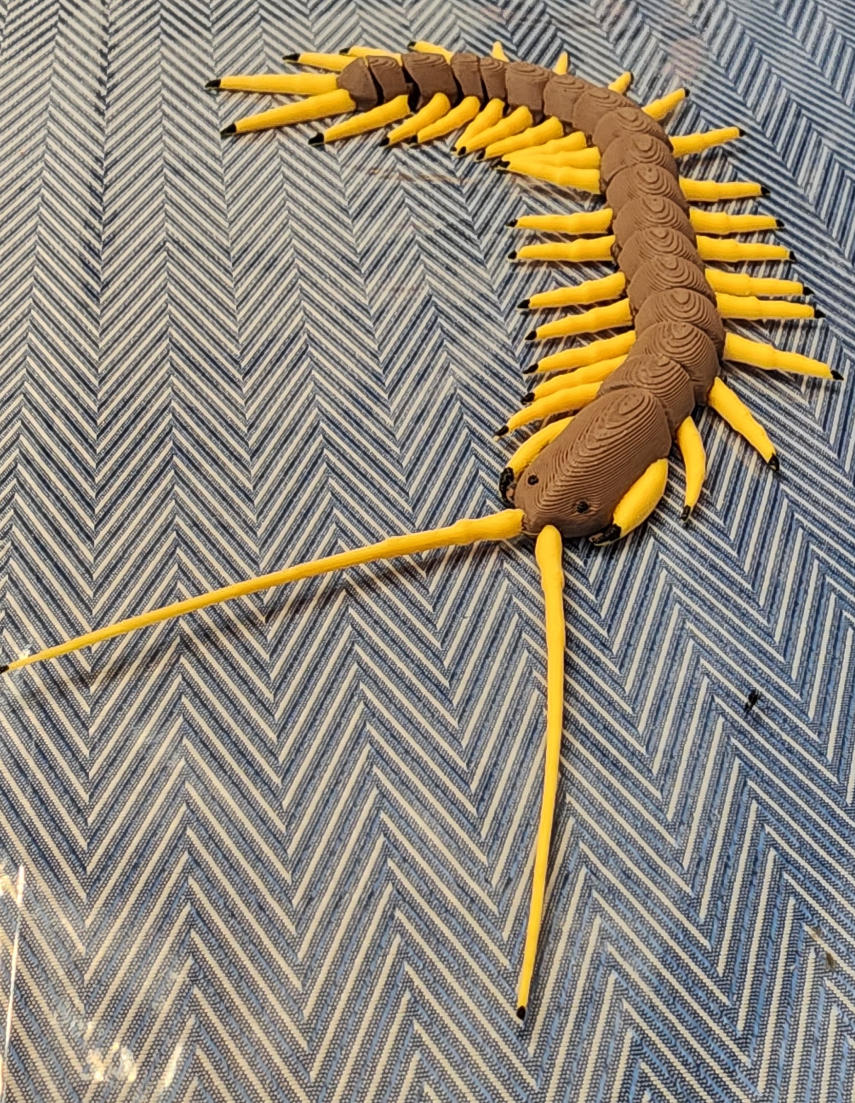 Miniatura 1 do modelo 3D Realistic Flexi Centipede
