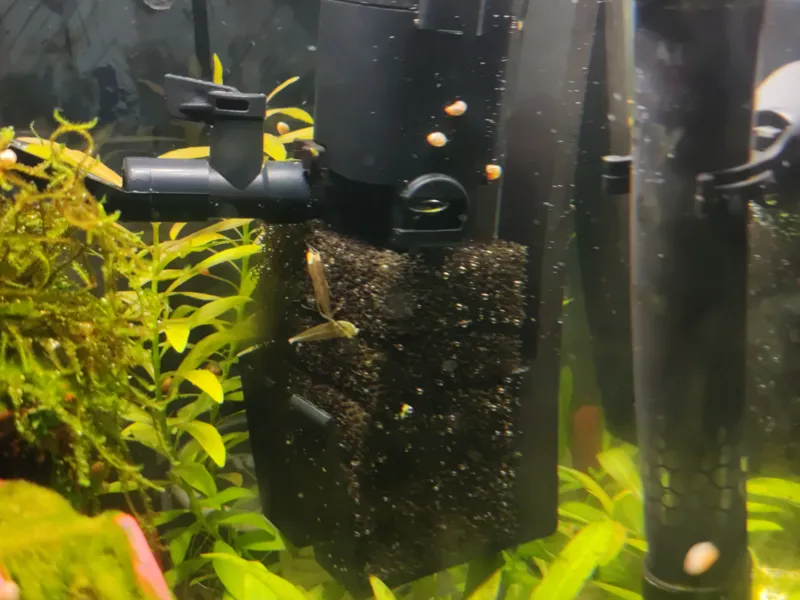 Aquael Filter Decouple Holder