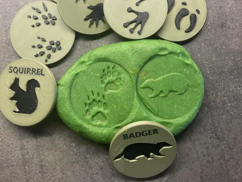 Playdoh animal footprints ( forest )