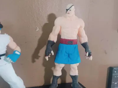Sagat (street fighter)