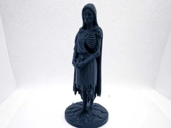 https://makerworld.bblmw.com/makerworld/model/US53c6ffaf6e765a/design/bd76610a0aa00eff.jpg