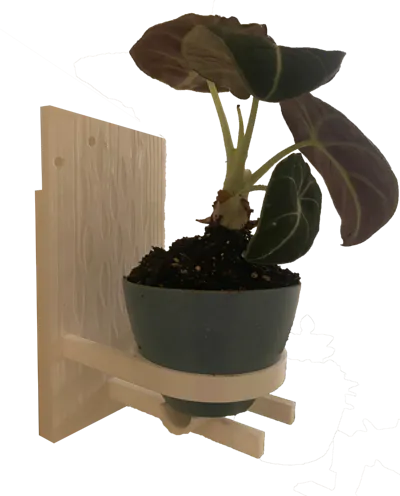 Textured Wall Plant Holder