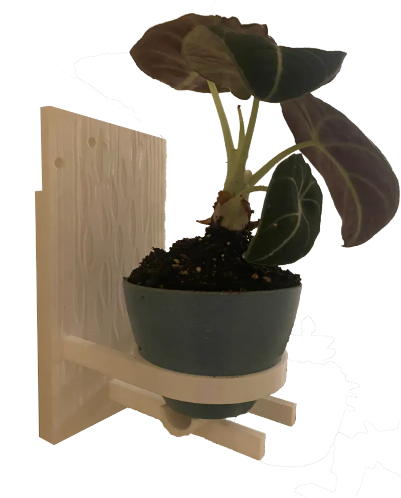 Textured Wall Plant Holder