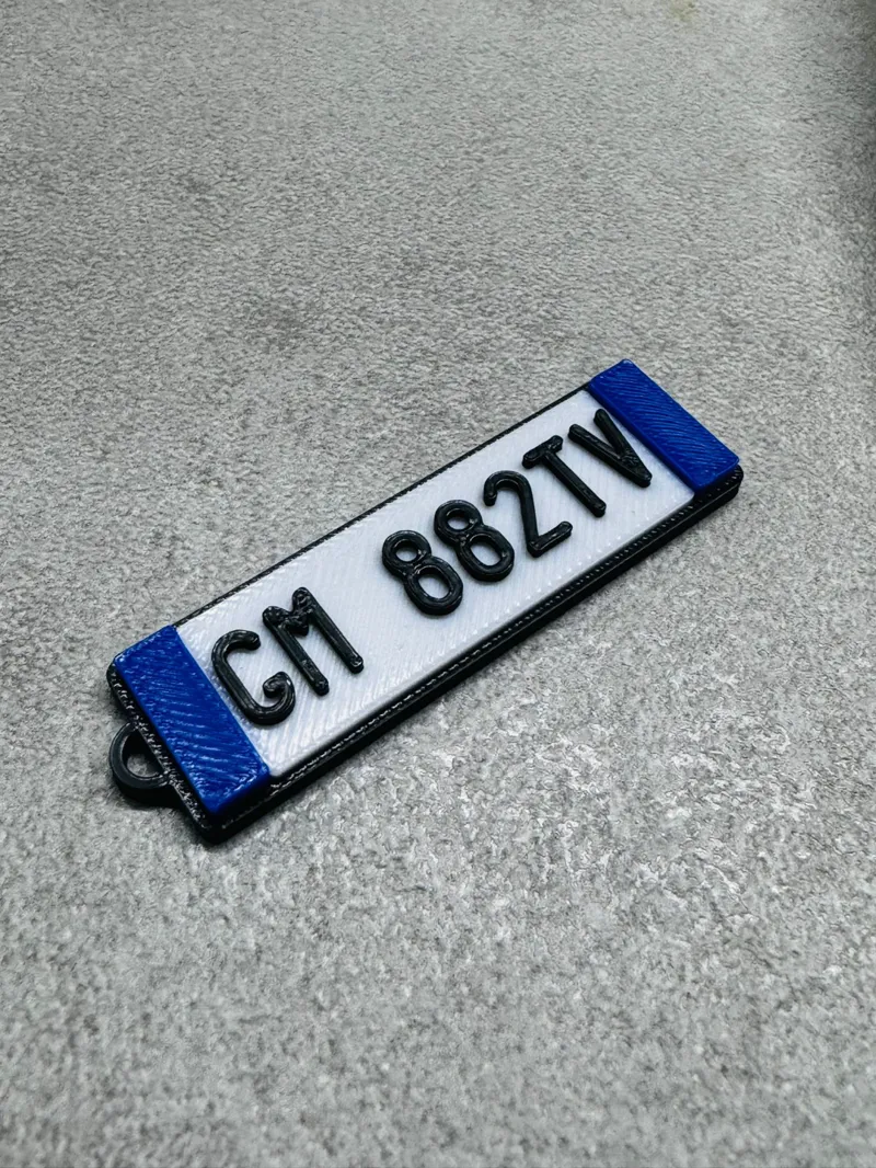 LICENSE PLATE KEY RING