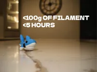 0.6mm nozzle, 0.3mm layer, 2 walls, 5% infill