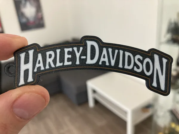https://makerworld.bblmw.com/makerworld/model/US53d7e6a03f195d/design/2024-05-06_cc9efe227268d.jpg