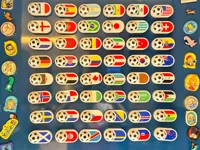 磁铁：阿根廷 葡萄牙 巴西 法国 挪威 德国 英格兰 西班牙 比利时 美国 日本 荷兰 韩国 澳大利亚