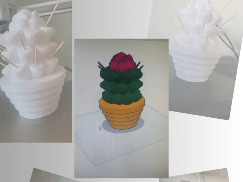 Cactus toothpick holder