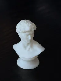 Buste de David — photo 2