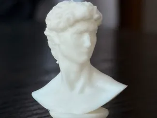 Bust of David