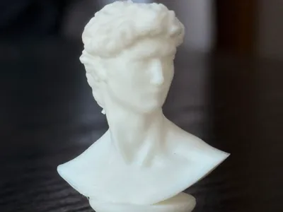 Bust of David