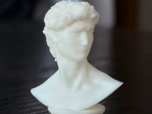Buste de David