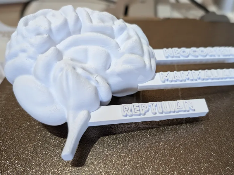Triurn Brain