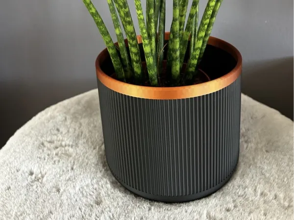 https://makerworld.bblmw.com/makerworld/model/US53f057ff702035/design/2025-02-09_e2e0c972e3fa1.jpg