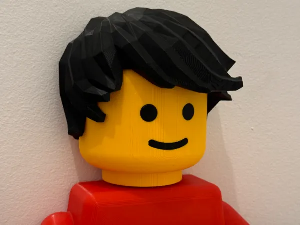 https://makerworld.bblmw.com/makerworld/model/US53f1123df58bab/design/2024-09-16_993e43a5bf8588.jpg
