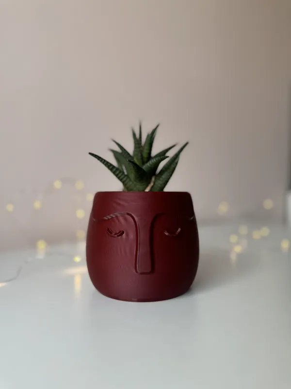 https://makerworld.bblmw.com/makerworld/model/US53f18eeebb8b12/design/2024-04-05_eea761c1ab407.jpg