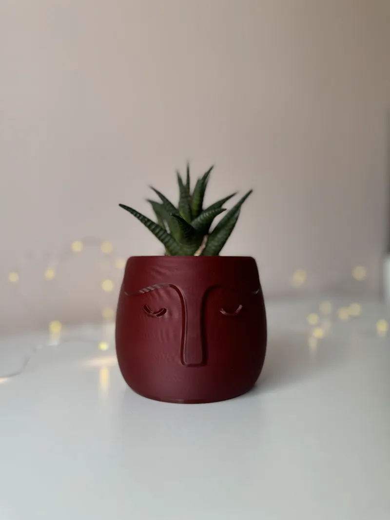 Nordic Face flower pot vase rounded