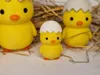 Chick Small Small