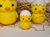 Chick Small Small