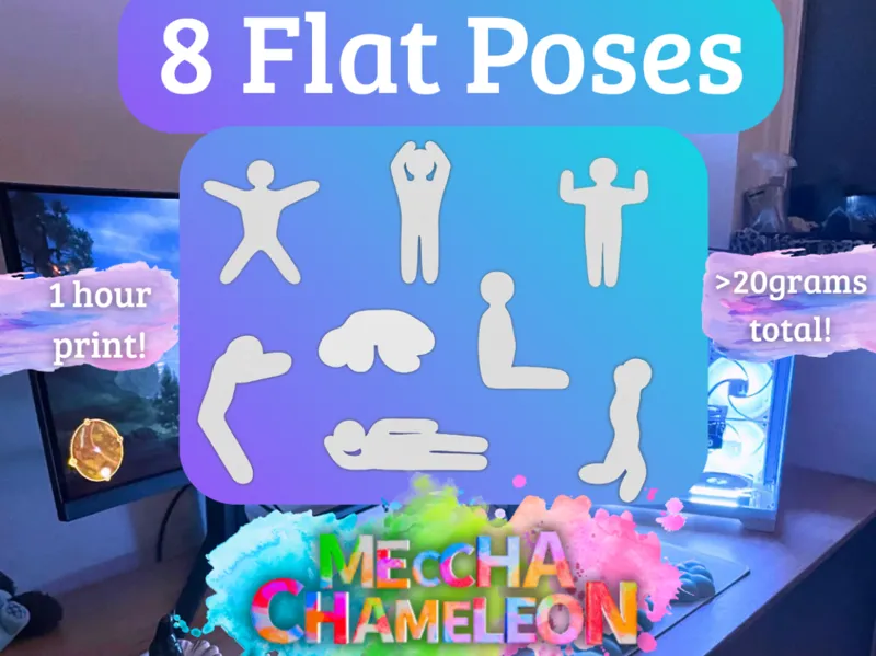 Meccha Chameleon Flat - 1 Hour