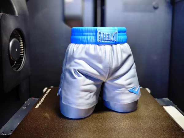 https://makerworld.bblmw.com/makerworld/model/US53f56ab0c0e2a/design/2025-07-02_5c7d69fc663e3.jpg