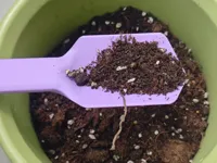0.2mm layer, 3 walls, 15% infill