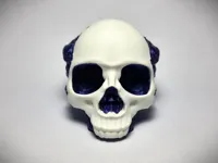 0.2mm layer, 4 walls, 15% infill