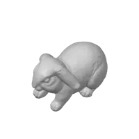 Petit lapin — photo 3