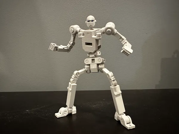 https://makerworld.bblmw.com/makerworld/model/US53fb1d9ecefc28/design/2024-12-20_4febf0abd2fc9.jpg