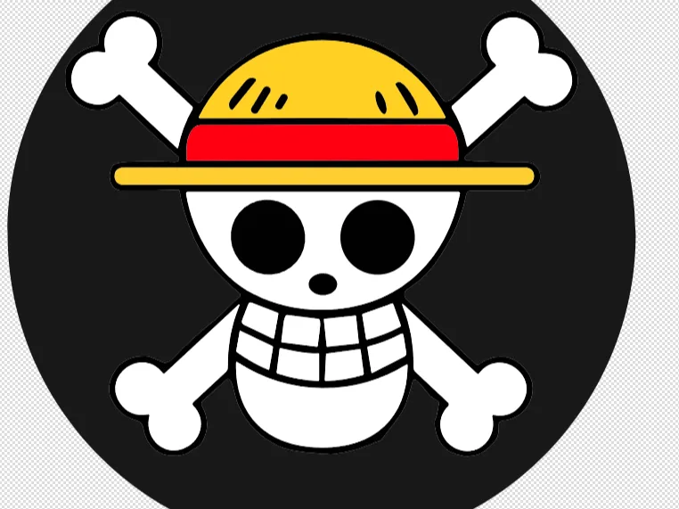 coin straw hats