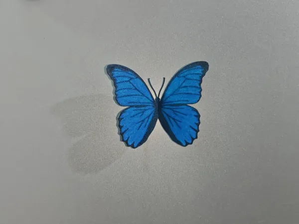 https://makerworld.bblmw.com/makerworld/model/US5403a3197a511f/design/67a5a2e8-01d2-4735-9551-6dcff4782fdd.webp