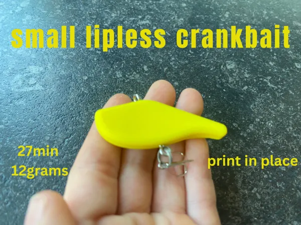 https://makerworld.bblmw.com/makerworld/model/US5404fbcb197eaa/design/1da904f374c5971f.png