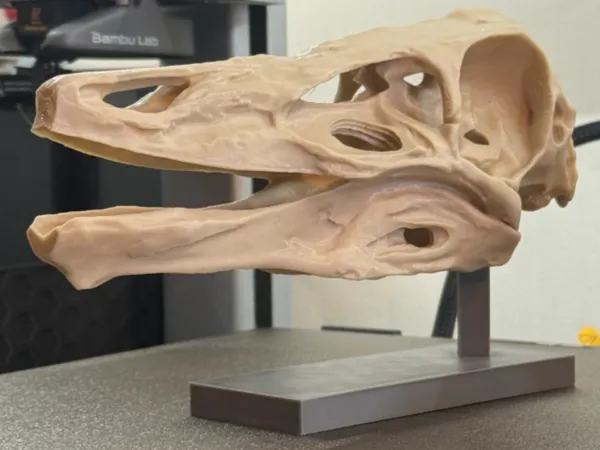 https://makerworld.bblmw.com/makerworld/model/US5409bee56a21f7/design/b71f4affdaf89eb8.jpg