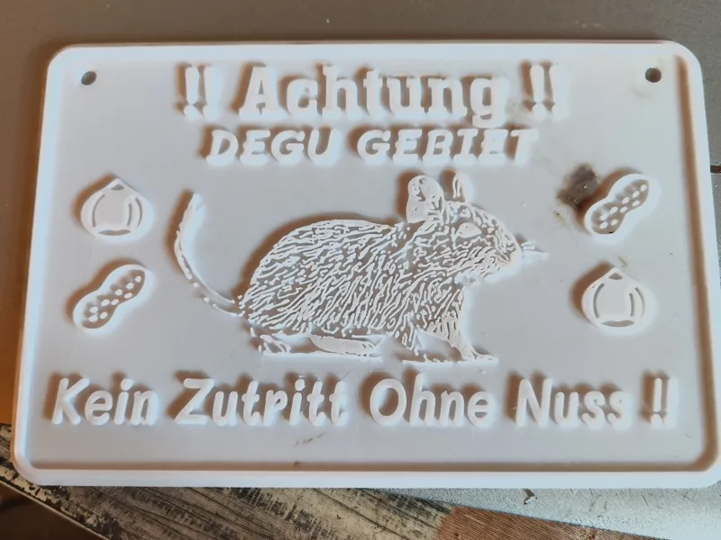 Degu Gebiet nicht ohne Nüsse