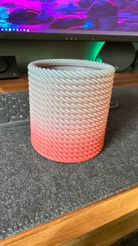 0.2mm layer, 3 walls, 0% infill, 113%