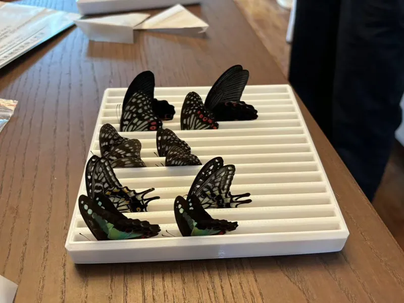 butterfly rehydration box