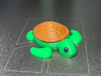 Cute Sea Turtle
