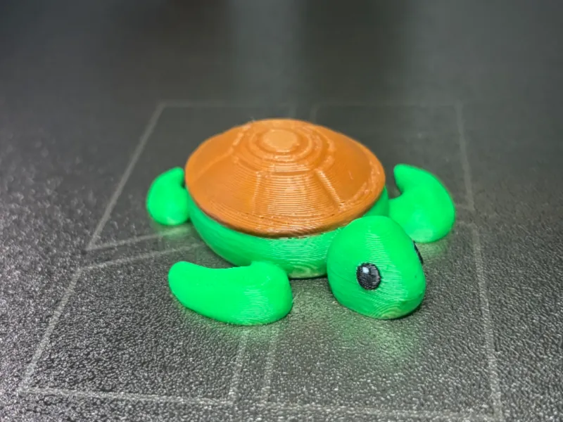 Cute Sea Turtle