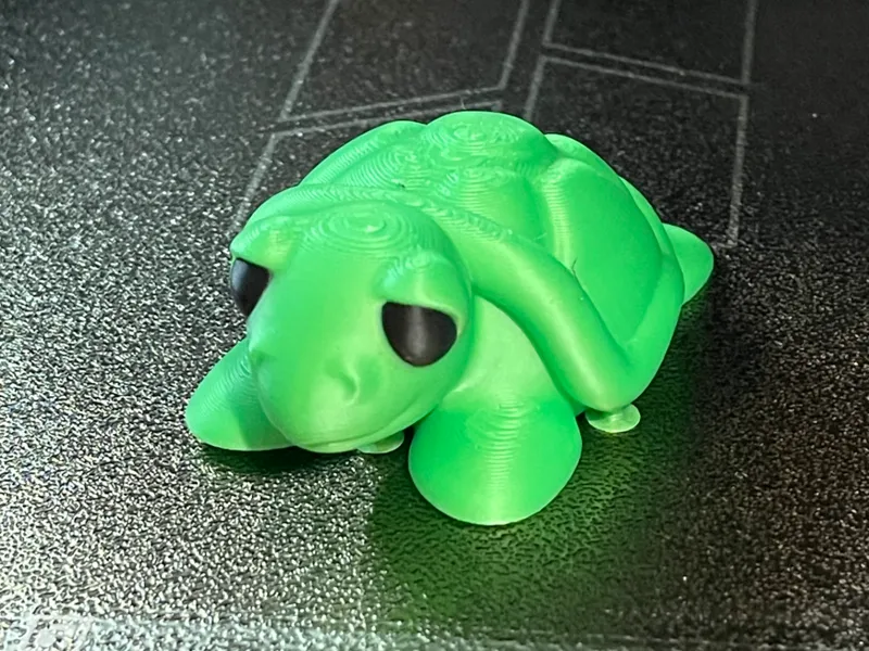Cute little turtle