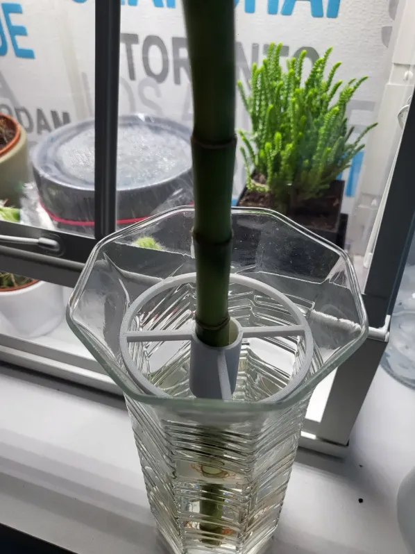Lucky Bamboo Spacer