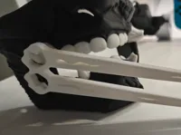 0.16mm layer, 2 walls, 15% infill