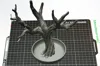 A1 Mini - Round Tray - 0.16mm layer, 2 walls, 5% infill