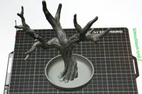 A1 Mini - Runde Schale - 0.16mm layer, 2 walls, 5% infill