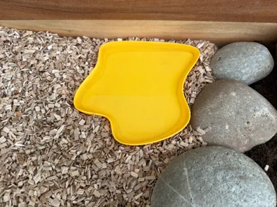 Terrarium Water Dish