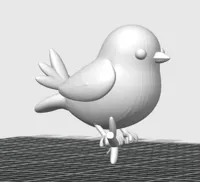 Oiseau — photo 3