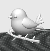 Oiseau — photo 2